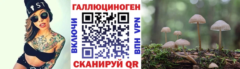 Псилоцибиновые грибы Psilocybe Макаров