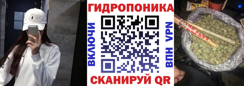 Шишки марихуана планчик Макаров